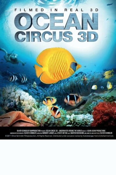 Ocean Circus 3D – Underwater Around the World