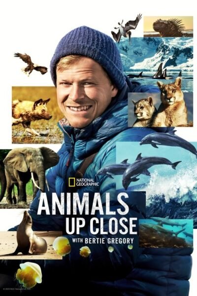 Animals Up Close with Bertie Gregory 2023 (2023)