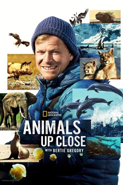 Animals Up Close with Bertie Gregory 2023 (2023)