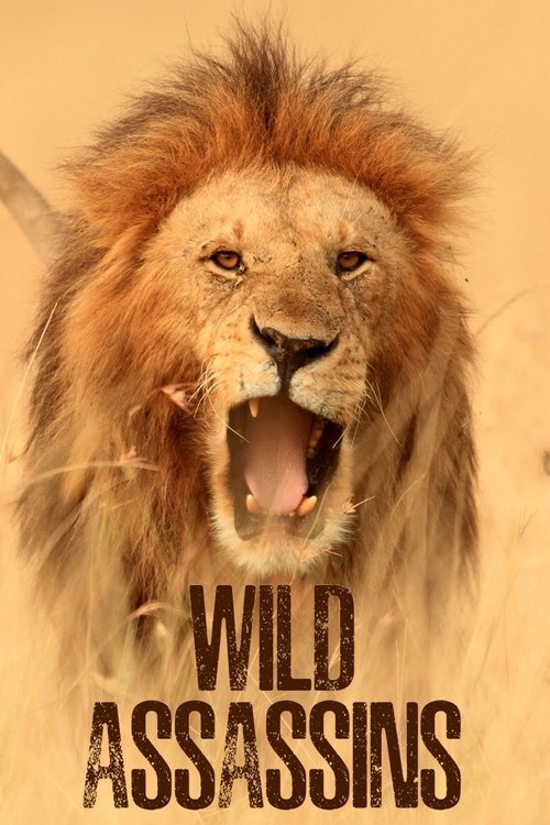 Wild Assassins 2023 (2023)