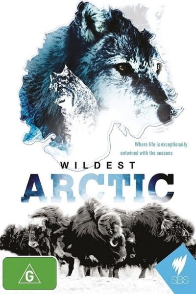 Wildest Arctic