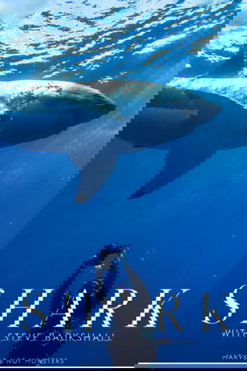 Shark with Steve Backshall