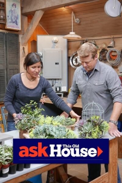 Ask This Old House (2002)