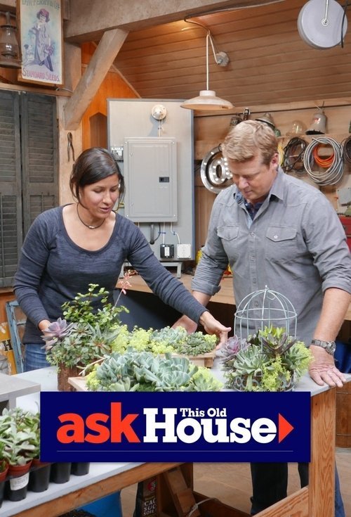 Ask This Old House (2002)