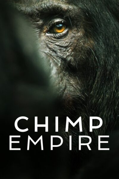 Chimp Empire 2023 (2023)