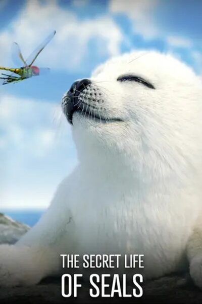 The Secret Life of Seals 2022
