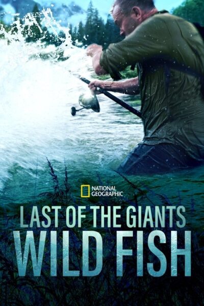 Last of the Giants 2021 (2022)