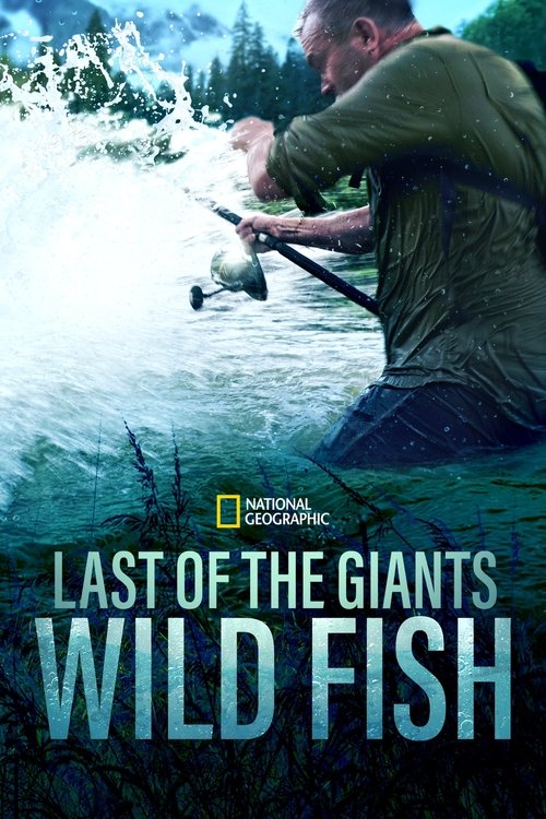Last of the Giants 2021 (2022)