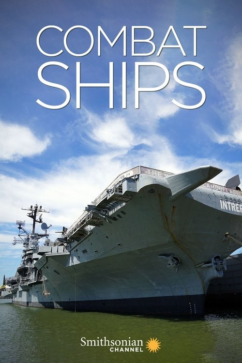 Combat Ships 2017 (2017)