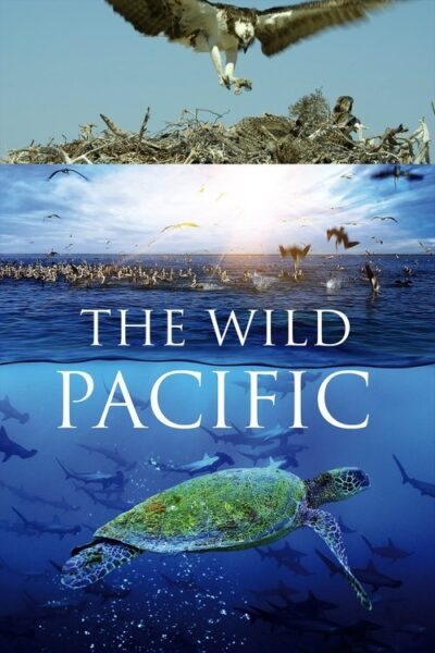 The Wild Pacific 2016